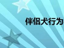 伴侣犬行为心理教育（伴侣犬）