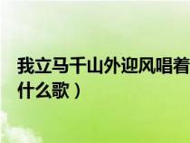 我立马千山外迎风唱着天籁（我立马千山外听风唱着天籁是什么歌）