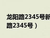 龙阳路2345号新国际博览中心怎么走（龙阳路2345号）