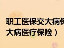 职工医保交大病保险在哪里交（怎样缴纳职工大病医疗保险）