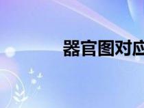 器官图对应图 疼痛（器官图）