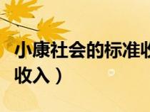 小康社会的标准收入是多少（小康社会的标准收入）