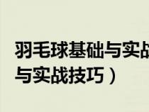 羽毛球基础与实战技巧教学视频（羽毛球基础与实战技巧）