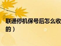 联通停机保号后怎么收取费用的（停机保号后怎么收取费用的）