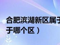 合肥滨湖新区属于哪个区县（合肥滨湖新区属于哪个区）