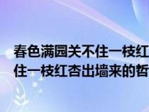 春色满园关不住一枝红杏出墙来的深刻含义（春色满园关不住一枝红杏出墙来的哲理）