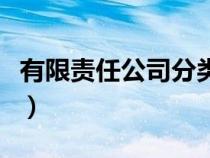 有限责任公司分类详细表（有限责任公司分类）