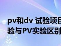 pv和dv 试验项目 全称（汽车配件中的DV试验与PV实验区别）