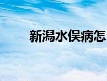 新潟水俣病怎么读（水俣病怎么读）