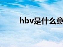 hbv是什么意思（HV是什么意思）