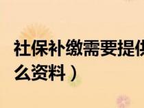 社保补缴需要提供什么资料（社保补缴需要什么资料）