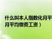 什么叫本人指数化月平均缴费工资指数（什么叫本人指数化月平均缴费工资）