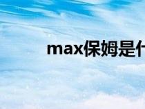 max保姆是什么插件（max保姆）