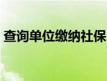 查询单位缴纳社保（查询单位社保缴费情况）