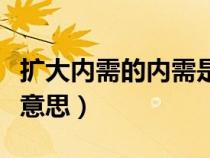 扩大内需的内需是什么意思（扩大内需是什么意思）