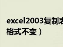 excel2003复制表格格式不变（电子表格复制格式不变）