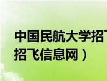 中国民航大学招飞简章2021（中国民航大学招飞信息网）