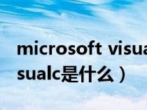 microsoft visual是什么软件（microsoftvisualc是什么）