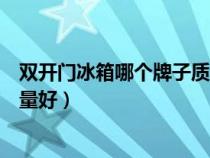 双开门冰箱哪个牌子质量好有省电（双开门冰箱哪个牌子质量好）