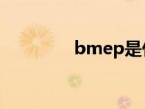 bmep是什么意思（bme）