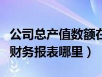 公司总产值数额在报表里哪里显示（总产值在财务报表哪里）