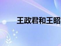 王政君和王昭君什么关系（王政君）