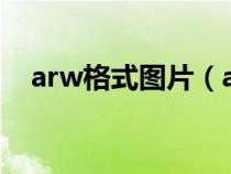 arw格式图片（arw格式怎么转换成jpg）