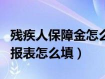 残疾人保障金怎么填写申报（残疾人保障金申报表怎么填）