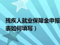 残疾人就业保障金申报表怎么填写（残疾人就业保障金申报表如何填写）