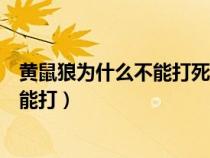 黄鼠狼为什么不能打死它能扰人的脑电波（黄鼠狼为什么不能打）