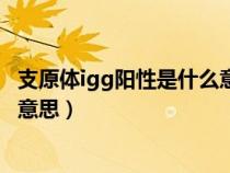 支原体igg阳性是什么意思（巨细胞病毒抗体igg阳性是什么意思）