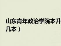 山东青年政治学院本升本免考学位英语（山东青年政治学院几本）