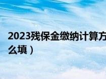 2023残保金缴纳计算方法公式（残疾人就业保障金申报表怎么填）