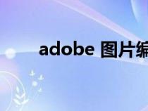 adobe 图片编辑（acd图片编辑器）