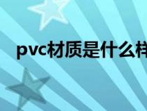 pvc材质是什么样子的（PVC材质是什么）