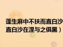 蓬生麻中不扶而直白沙在涅与之俱黑翻译（蓬生麻中不扶而直白沙在涅与之俱黑）