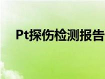 Pt探伤检测报告需要什么资质（pt探伤）