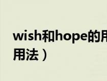 wish和hope的用法及区别（wish和hope的用法）