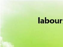 labour造句（labour）