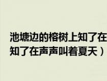 池塘边的榕树上知了在声声叫着夏天歌词（池塘边的榕树上知了在声声叫着夏天）