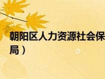 朝阳区人力资源社会保障局局长（朝阳区人力资源社会保障局）