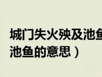 城门失火殃及池鱼意思是什么（城门失火殃及池鱼的意思）