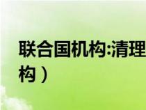 联合国机构:清理加沙废墟需15年（联合国机构）