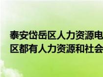 泰安岱岳区人力资源电话号码（山东省泰安市岱岳区和泰山区都有人力资源和社会保障局吗）