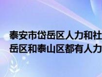 泰安市岱岳区人力和社会保障局官网官网（山东省泰安市岱岳区和泰山区都有人力资源和社会保障局吗）