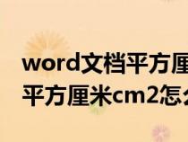 word文档平方厘米怎么输入（word和excel平方厘米cm2怎么做出来）