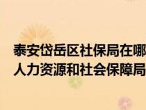 泰安岱岳区社保局在哪（山东省泰安市岱岳区和泰山区都有人力资源和社会保障局吗）