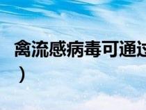 禽流感病毒可通过什么进入人体（禽流感病毒）