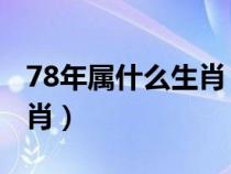 78年属什么生肖 今年多大了（78年属什么生肖）