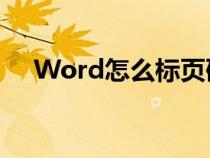 Word怎么标页码?（word怎么标页码）